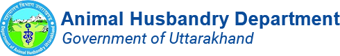 Animal Husbandry Department